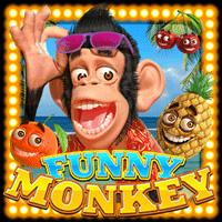 Funny Monkey